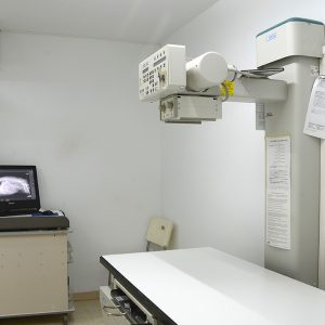 anubis-clinica-veterinaria